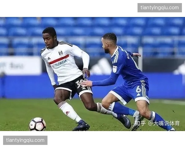 富勒姆租借市场操作务实 鲍伯加盟提升边路进攻多样性 富勒姆租借市场操作务实 鲍伯加盟提升边路进攻多样性